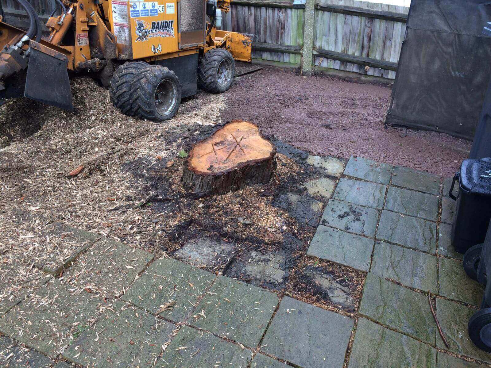 Tree Surgeons Parsons Green SW6